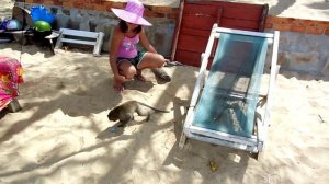 Вьетнам Фукок Разное Н.mp4