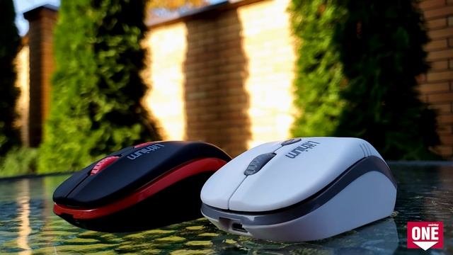 Мышь беспроводная с зарядкой от USB.