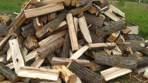 Переезд в Россию.