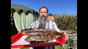 Терпуг горячего копчения в деревянной коптильне