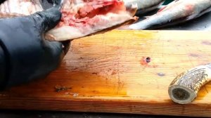 РАЗДЕЛКА И СОЛЕНИЕ РЫБЫ ТОЛСТОЛОБИК БЕЛЫЙ АМУР РЕЦЕПТЫ СЮФ