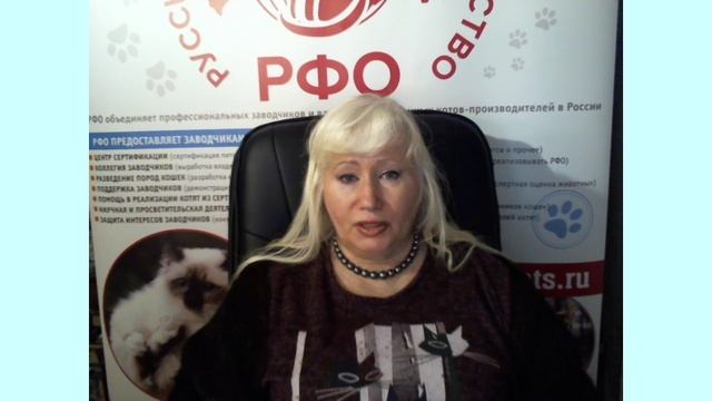 Покупка породистого котенка.