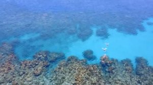 Гондурас. Остров Роатан. Roatan Island. Отдых на острове Роатан в Карибском море Гондураса.