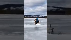 Пяозеро Карелия хариус