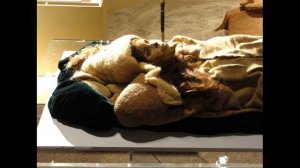 Загадка Таримских мумий