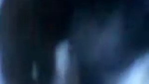 охота Визиндор1