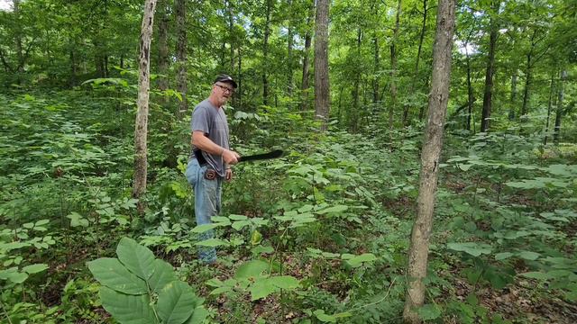Best machete. Fiskars vs Gerber смотреть онлайн