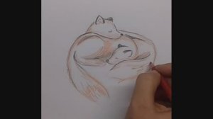 Как нарисовать спящих лисят \\ рисуем лису // лисица // милые рисунки