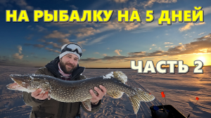 РЫБАЛКА НА 5 ДНЕЙ НА ОЗЕРО ВОЖЕ. 2 ЧАСТЬ. ТРОФЕЙНАЯ ЩУКА.mp4