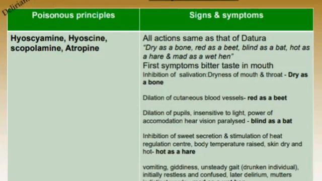 Poisonous plants смотреть онлайн