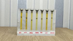Текучесть моторных масел 5W-30 BIZOL, TOYO-G, POLYMERIUM, SINTEC, ZIC, HYUNDAI XTeer при минус 30°C