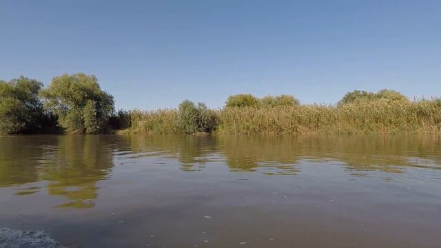 Рыбалка-Астрахань-2017 смотреть онлайн