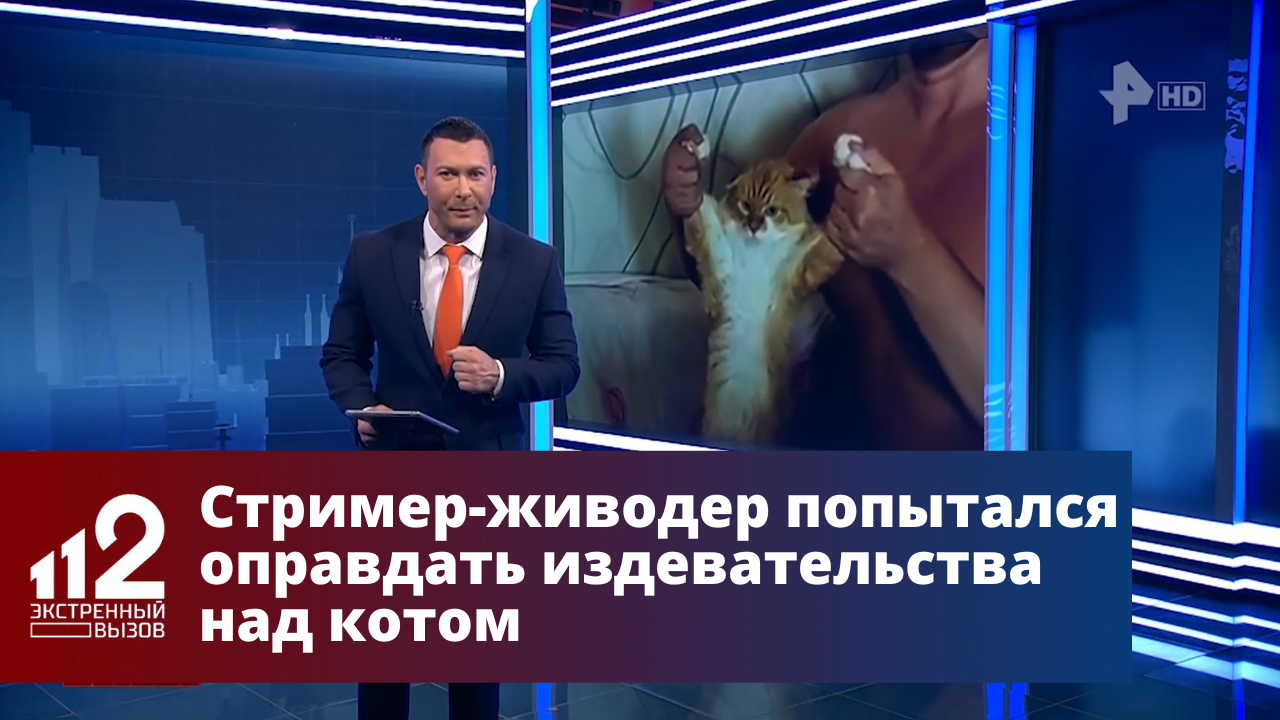 Стример-живодер попытался оправдать издевательства над котом Сеней