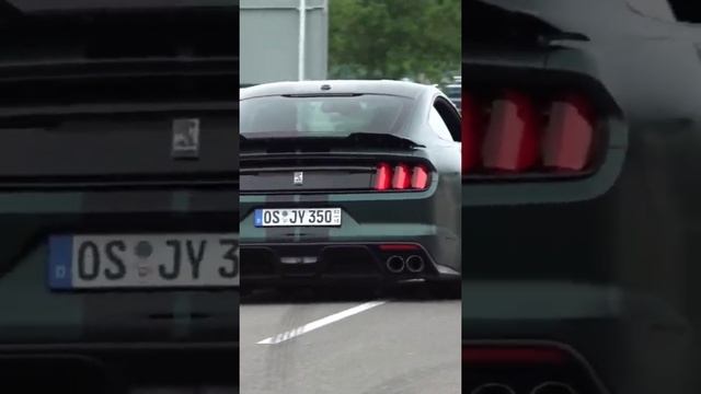 Crazy Exhaust Sound?? Mustang Shelby OMG!