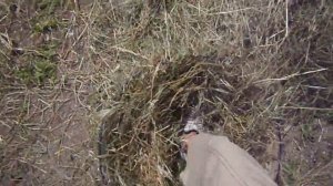 Брикетирование сена кроликам