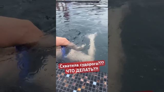 Лучшие развлечения и отдых в NEMO Hotel Resort & SPA with dolphins