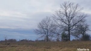 Очередь за счастьем...Алёна Петровская.