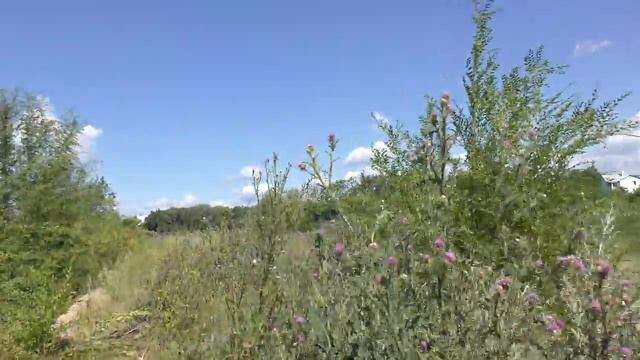 Озера за улицей Приозерной