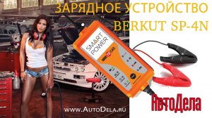 Обзор зарядного устройства BERKUT  (Беркут) Smart Power SP-4N