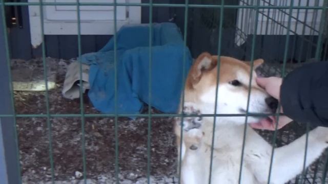 Боремся со снегом.//В гостях у подруги. смотреть онлайн