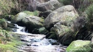 Какую соль выбрасывают? Что такое соль земли?