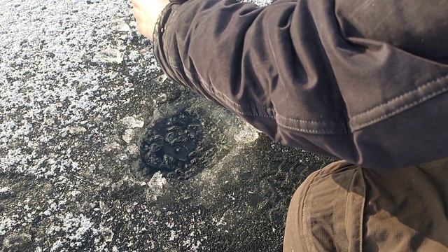 Первый лёд 2023-24. Рыбалка. смотреть онлайн