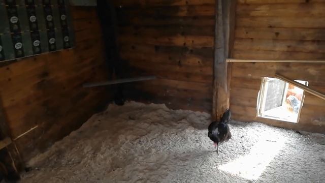 Лучшее средство для дезинфекции, дезинфекция курятников, дезинфекция ферм и помещений