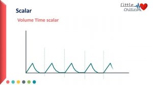 Ventilator Waveform | Scalars and Loops | Mechanical Ventilation | Little Criticos