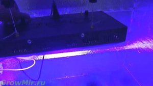 Гроубокс в сборе. Гроубокс своими руками. Пример гроубокса стелса с LED освещением.