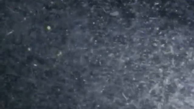 05 1968 Киты и кашалоты смотреть онлайн