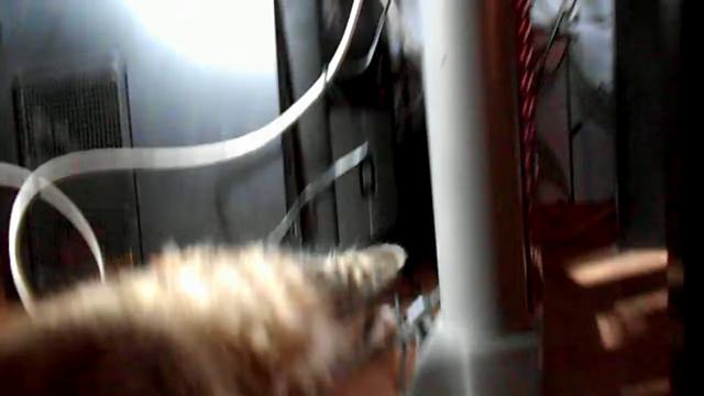 Сашик приехал смотреть онлайн