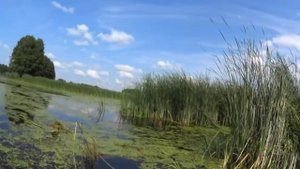 ТАКИХ КАРАСЕЙ МАЛО КТО ЛОВИТ  Ловля на поплавок Диких КАРАСЕЙ