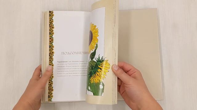Тайны цветов. Мифы, сказки, легенды. Подарочная книга с цветными авторскими иллюстрациями смотреть онлайн