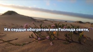 #92 Любовь - Божья любовь (Русавуки)