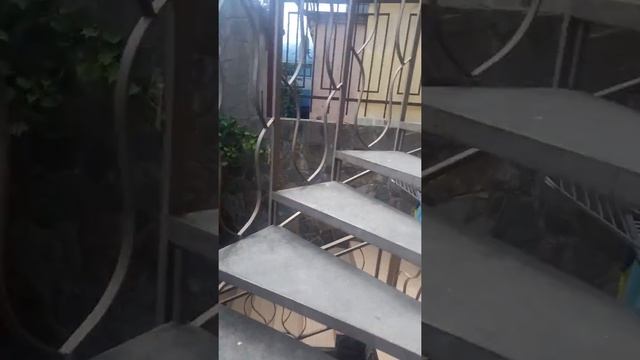 Гостевой дом "На Свирской" - отдых сказка смотреть онлайн