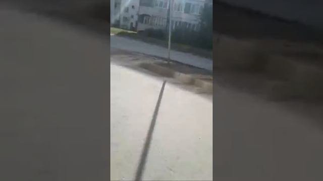 Веломотик