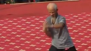 90-летний дедушка демонстрирует стиль змеи и журавля стиль хун цюань