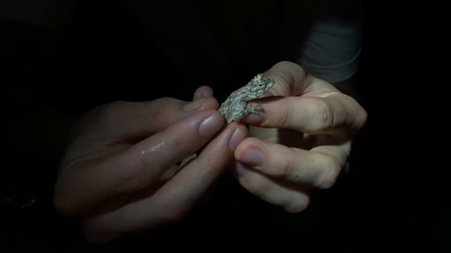 Real life FLYING DRAGONS!!! смотреть онлайн