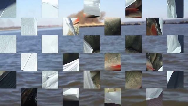 Ловля окуня в Калининградском заливе 5.04.14. смотреть онлайн