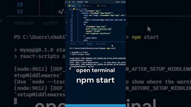 how to run react app using terminal and npm