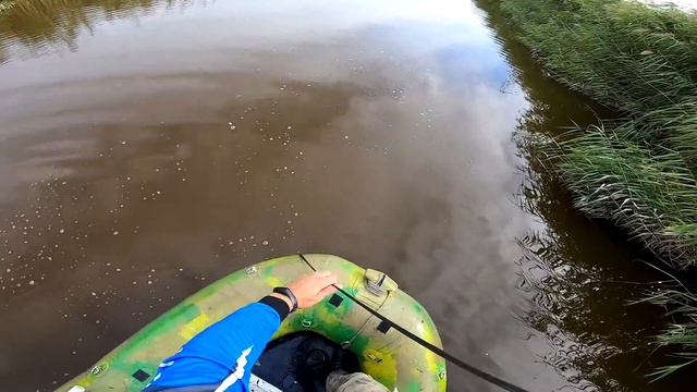 50кг рыбы за 20 минут ЁКЛМН! Кастинговая сеть американка ловит рыбу тоннами! Рыбалка 2021 Рыбалка смотреть онлайн