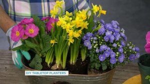 This tabletop planter is easier to make than you think | Your Morning