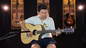 Tanglewood TWR2 OE vs Cort CJ MEDX vs Yamaha APX600