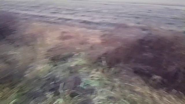 Охота на зайца 2023 год 17 ноября повезёт или нет смотреть онлайн