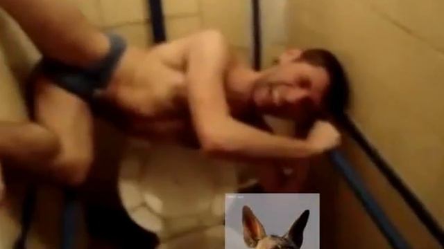 Как люди какать умеют