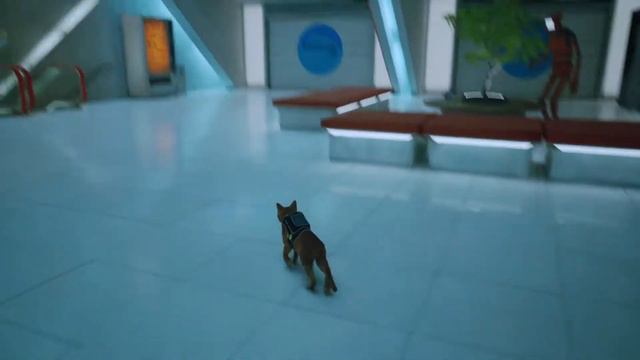 Это конец, только не плакать, Stray, полное прохождение часть 11 смотреть онлайн