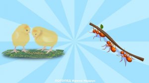 СМЕШНЫЕ ЗАГАДКИ ОБМАНКИ ДЛЯ ДЕТЕЙ - загадки про животных с подвохом. Логопед.