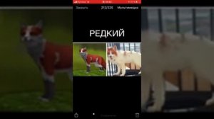 ВСЕ СКИНЫ НА ЛИСУ В WILD CRAFT