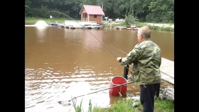 25 08 17 клевое место ловим онлайн карпа смотреть онлайн