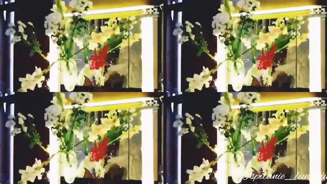 Тина Кароль 🕊 Дан Балан - Она река моя